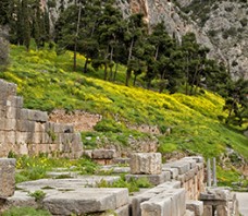 Delphi
