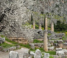 Delphi