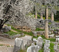 Delphi