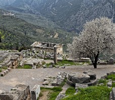Delphi