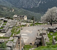 Delphi