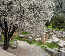 Delphi