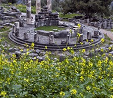 Delphi