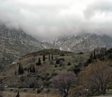 Parnassus